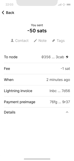 Smartphone screen showing a completed Lightning payment with extended technical details