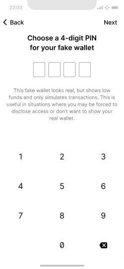 PIN entry screen for a wallet with dummy data