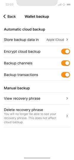 App settings screen for wallet backup with an option to delete the recovery phrase
