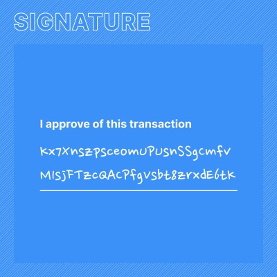 Illustration of a transaction signature